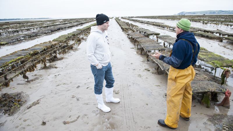 Sean Smith, head chef at the Cliff Townhouse, and Ray Harty of Harty’s Oysters, at the family’s beds in Dungarvan, Co Waterford