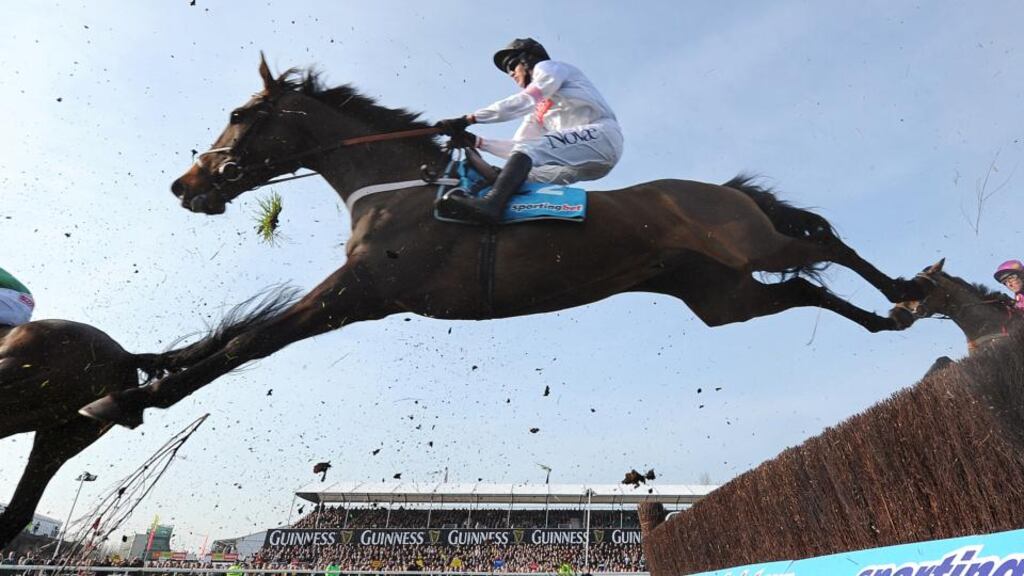 Finian’s Rainbow on his way to winning the Queen Mother champion steeple chase at the Cheltenham Festival last year. Photograph: Andrew Yates/AFP/Getty Images