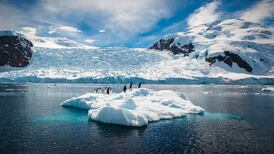 ‘Everyone should be concerned’ as Antarctic sea ice reaches record low