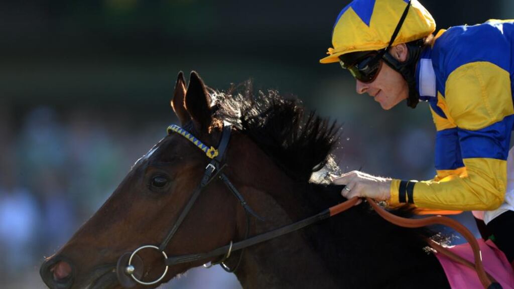 Richard Hughes crossesthe finish line atop Chriselliam to win the Juvenile Fillies Turf during the 2013 Breeders’ Cup World Championships at Santa Anita. Photograph: Harry How/Getty Images