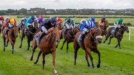 Chief Little Hawk swoops in to take huge Naas pot to set off Heffernan treble