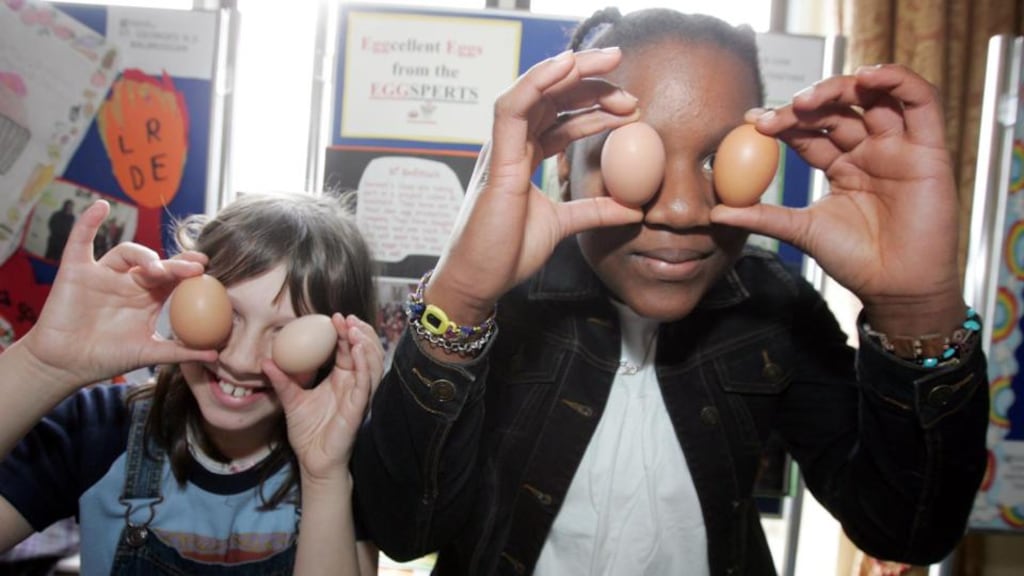 Younger people see eggs as a healthy food because of the protein content, according to Bord Bia. Photograph: The Irish Times