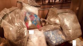 Cannabis with street value of £2 million seized during searches in Belfast