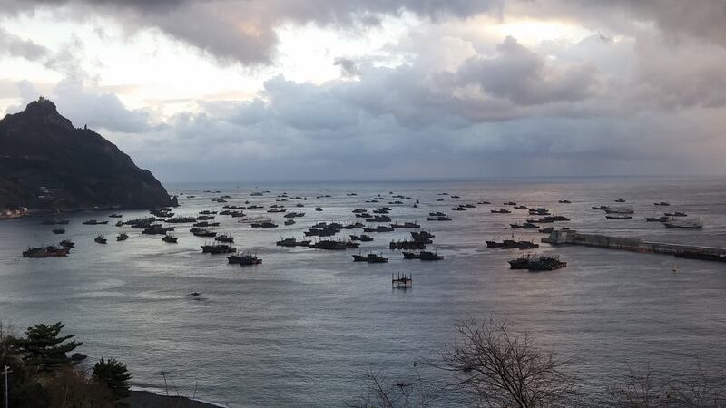 Chinese pair trawlers anchored in the harbour of Ulleung island in South Korean waters. Photograph: Fábio Nascimento
