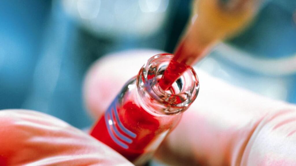 Restrictions on blood donations made by people who spent time in Northern Ireland and the UK between 1980 and 1996 are to be reviewed. Photograph: Tek Image/Science Photo Library