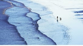 Five things you need to know today