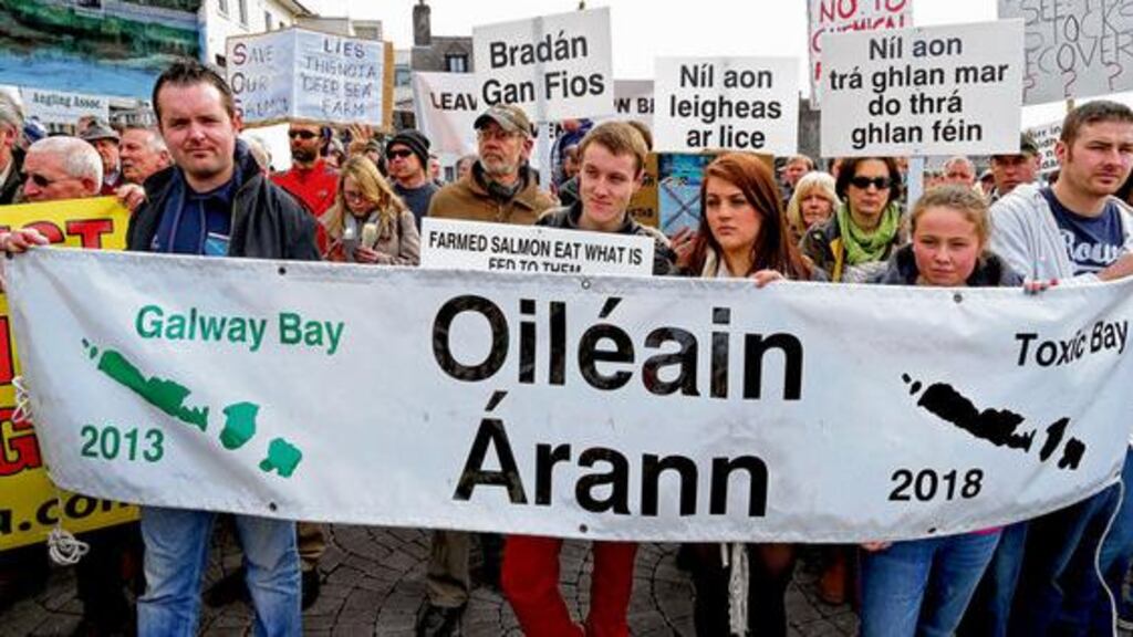 Some of the attendance at the Spanish Arch in Galway city on Saturday during the protest against the proposed salmon farm off Inis Oírr in Galway Bay. Photograph: Joe O'Shaughnessy.