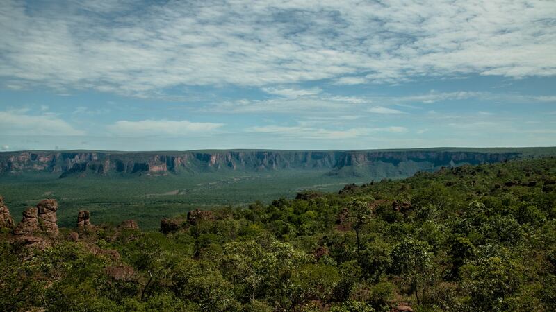 The scale of international agricultural demand – notably for beef and soya – is driving deforestation and putting the Amazon’s future at risk. Photograph: Thiago Foresti