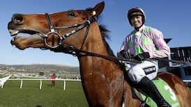 Faugheen set for triumphant return to action  at Leopardstown