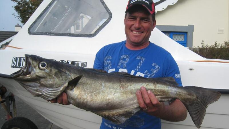 Small boats warning in Rosslare as Screaming Reels  takes poll position with  new record of 22 species