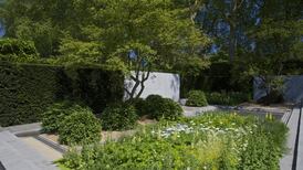 Chelsea show-stoppers