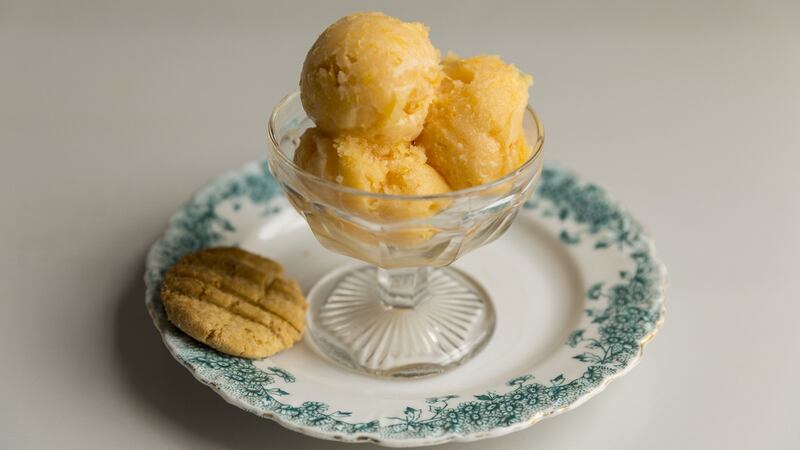 Orange and Campari sorbet. Photograph: Emma Jervis