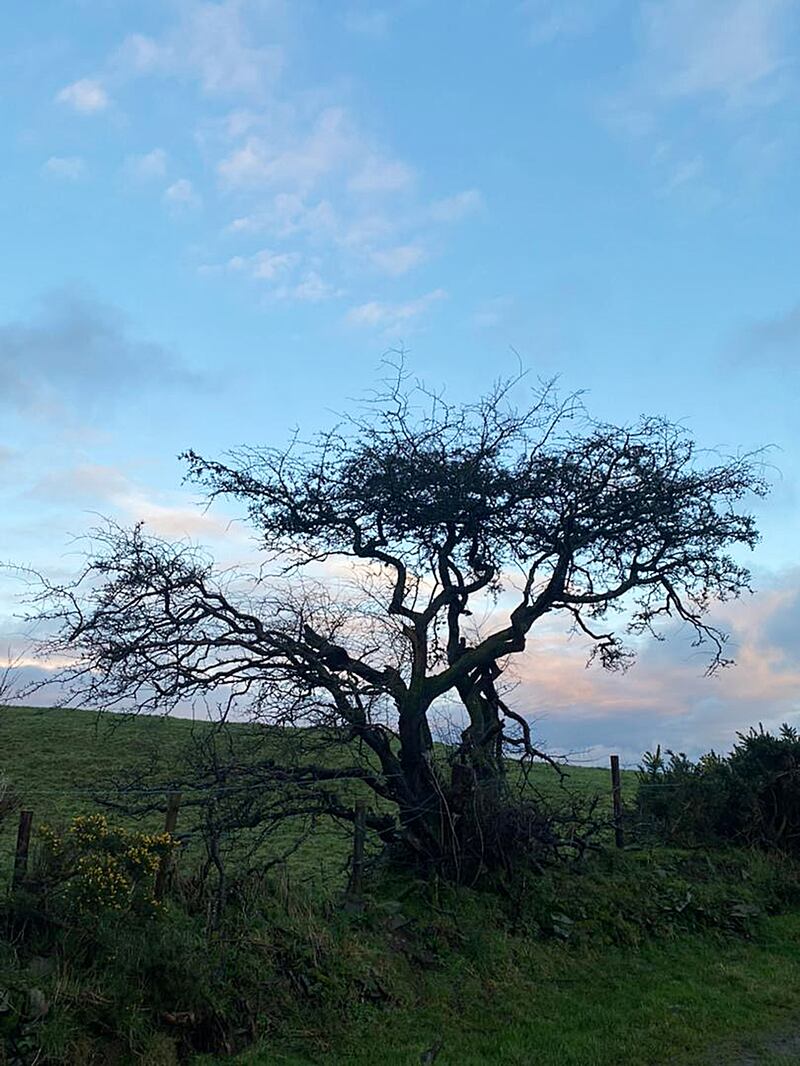 'Do not the dead live on? In the land? Reducing things to fundamentals, then yes, they do live on, they live on under our feet as atoms and molecules, which become grass and trees and weeds and flowers.'