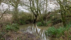 EU centre-right group joins backlash against green agenda