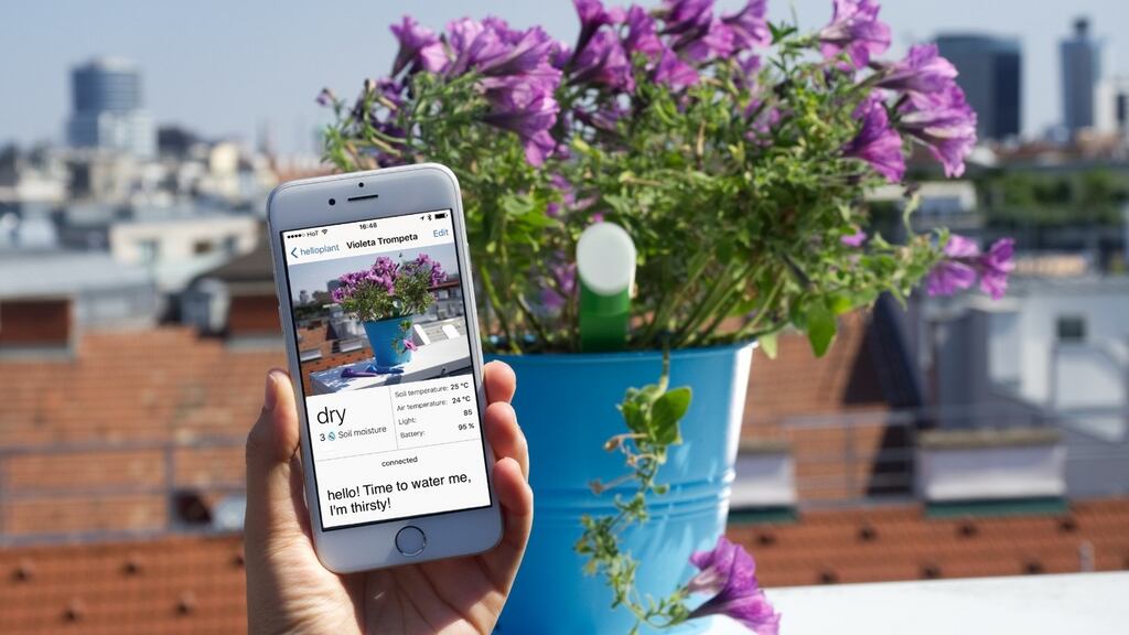 Plant sensor will, through a smartphone app, tell you when your plant needs water, if it’s too dark or too cold.