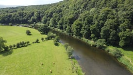 Governance at Inland Fisheries Ireland halfway between ‘Ballymagash and Killinaskully’, committee hears