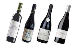 An easy guide to the best Languedoc reds