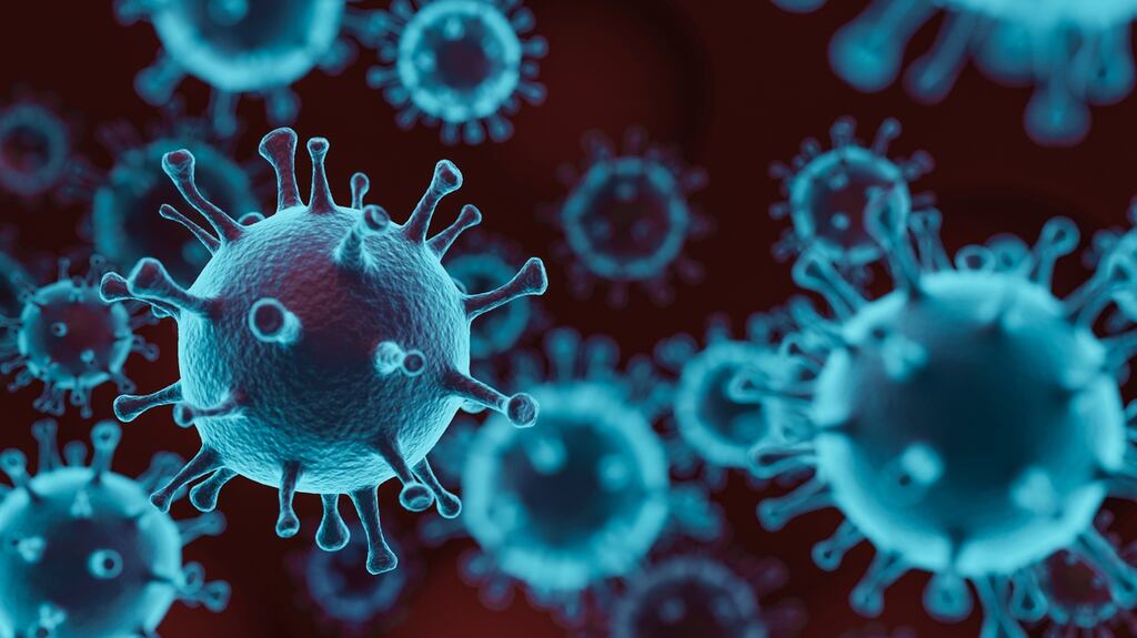 Once a contract has been agreed and signed, interested organisations are matched with expert scientists who will complete a report within 10 days.