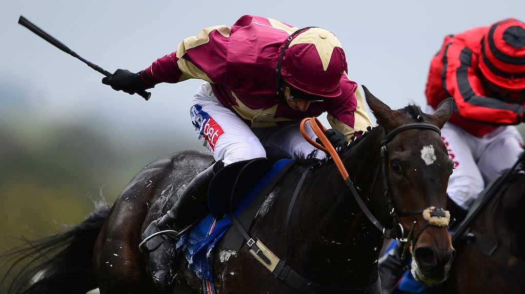 Beer Goggles, pictured with Daryl Jacob, will line up in the Cleeve Hurdle on Saturday. Photograph: Harry Trump/Getty