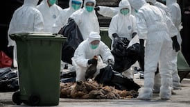 Strained relations: fears of a man-made flu pandemic