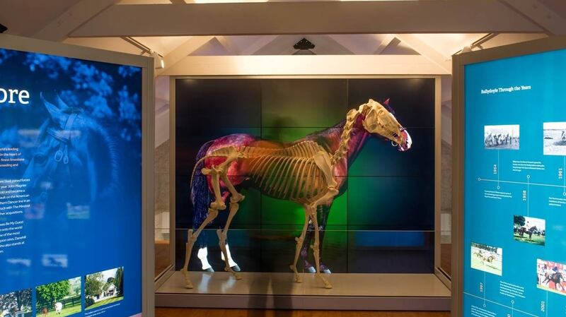 The skeleton of multiple horseracing champion sire Sadler’s Wells, on display at the Fethard Horse Country Experience in Co Tipperary