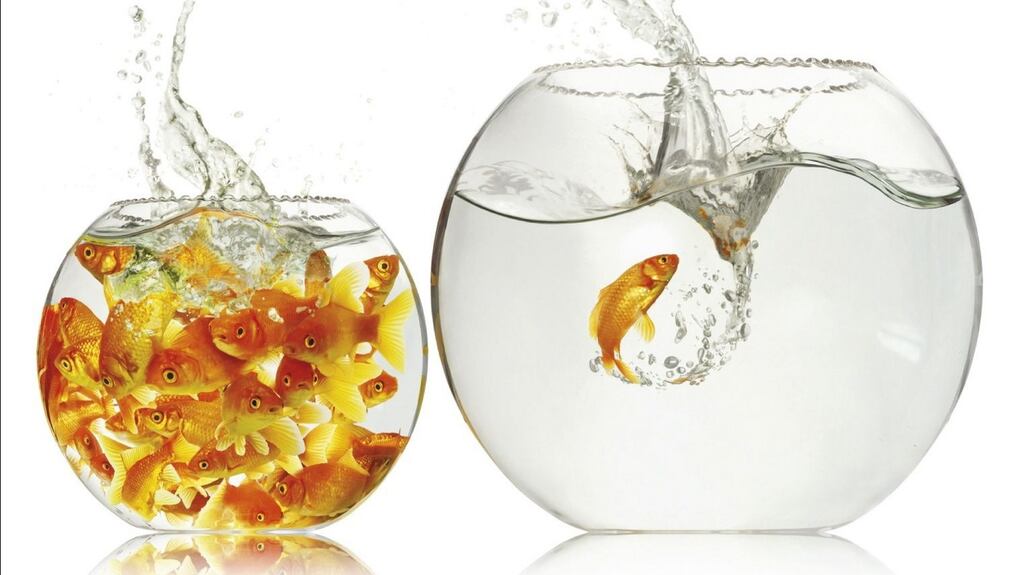 The Spirit Level le Richard Wilkinson and Kate Pickett