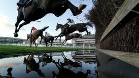 No Irish runners expected at first as British racing eyes up return