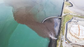 Failure of Ringsend tank led to sewage discharge into Dublin Bay