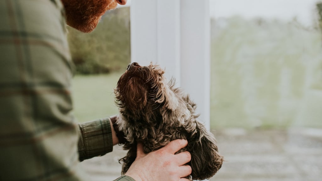 Dogs go through stages in their life, just as people do. Photograph: Getty Images.