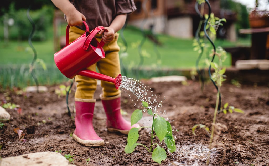 A constant theme throughout the Bible is our dependence on the God-given natural world. Photograph: Getty Images