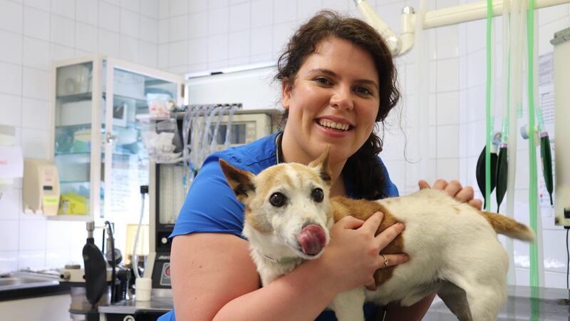 Veterinarian Niamh in Saol an Tréidlia