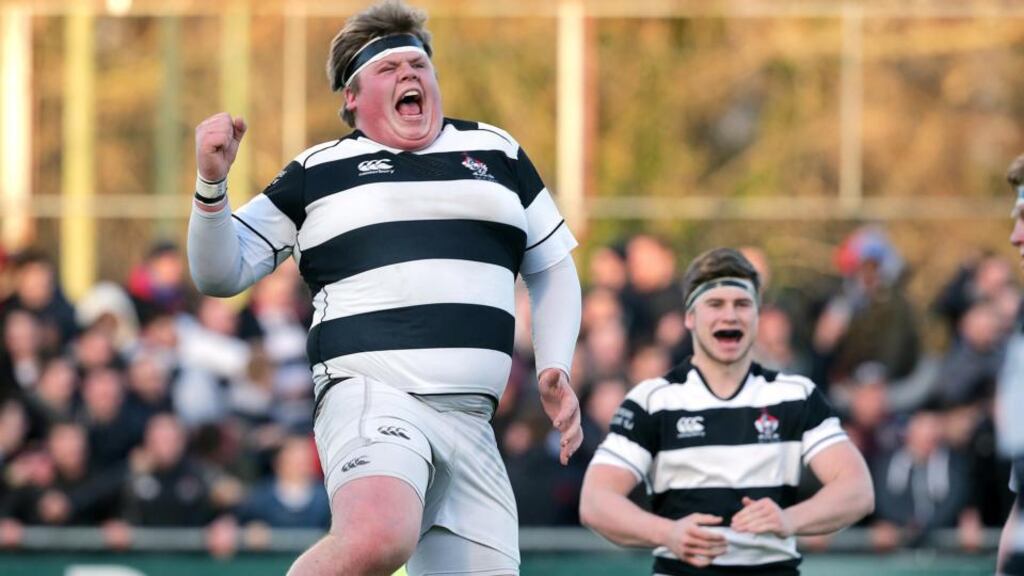 Jack Clarke of Belvedere College celebrates at the end of the game. Photograph: Morgan Treacy/Inpho.