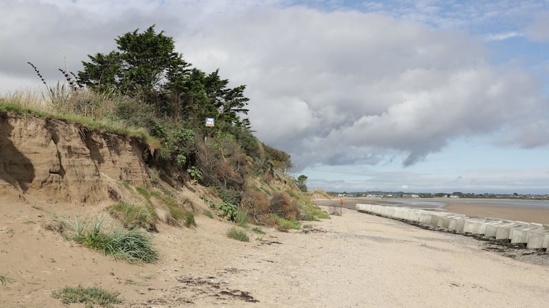 Sand dune erosion on the beach at Portrane. Photograph: Nick Bradshaw
