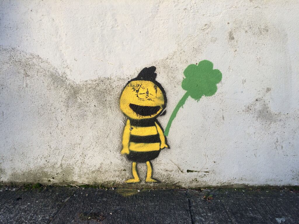 Biodiversity is crucial to our very existence, so just let the worms, snails, insects and birds be. Photograph: Bryan O'Brien