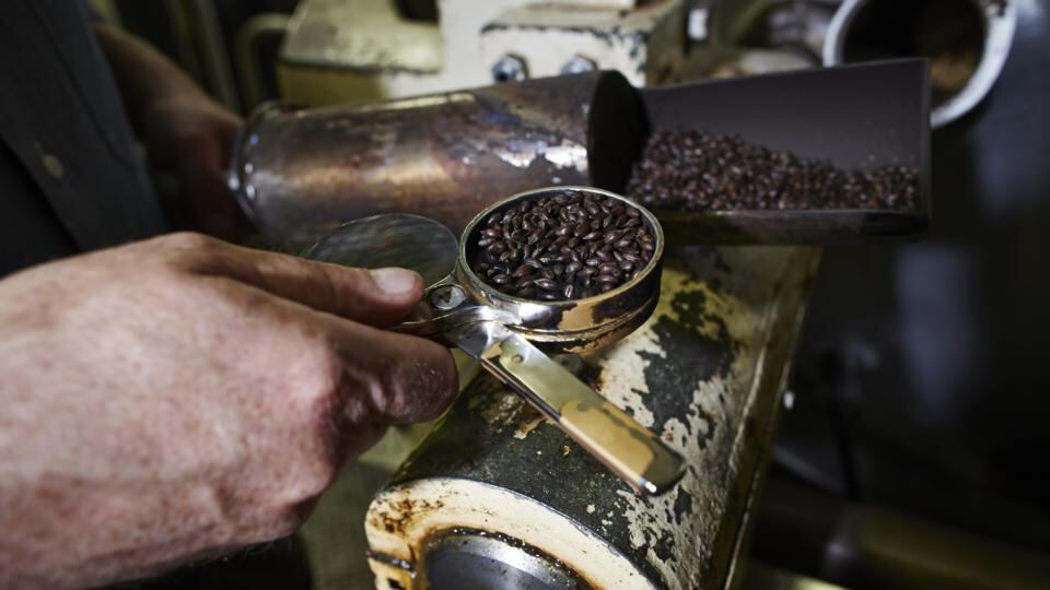 From field to your favourite local: checking the roast