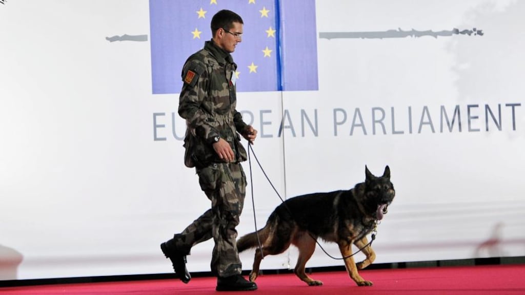 Comments made by Pope Francishave sparked a debate about whether animals have souls, suffer and go to heaven. Photograph: Nicolas Bouvy/EPA
