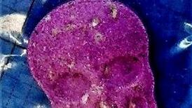 Electric Picnic: Warning issued about double strength ecstasy at festival