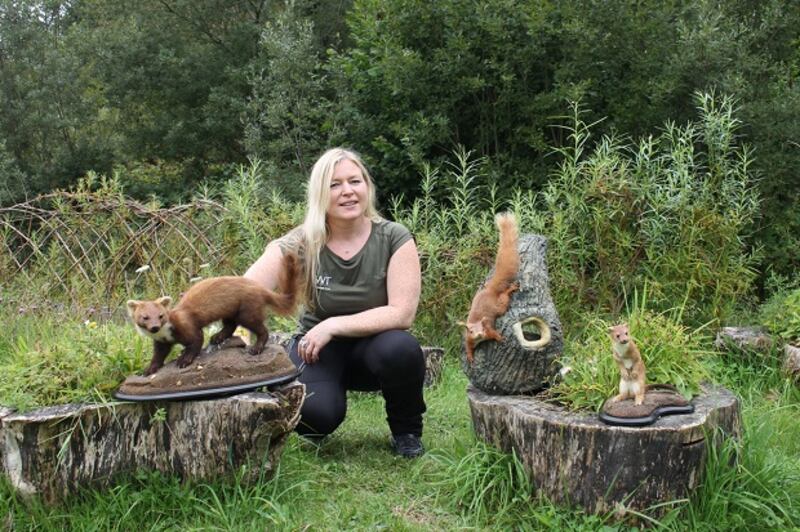 Mammals in Merlin Woods