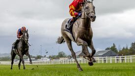 Auguste Rodin proves powerless to resist White Birch at the Curragh