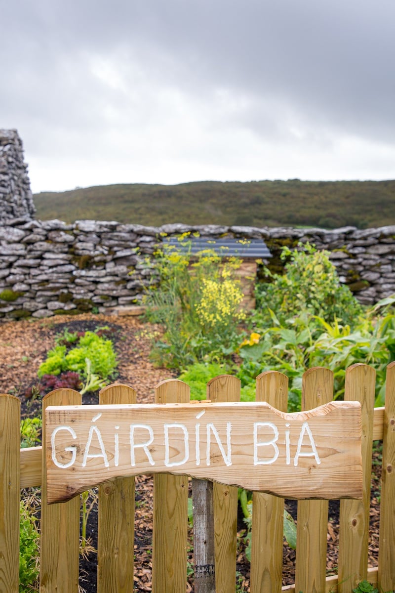 Summerage: The property also has a vegetable garden and greenhouse. Photograph: Anita Murphy