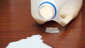 Project 2040 and milk cartons make me consider my tiny timescale on the planet