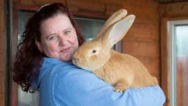 ‘Dog-sized’ rabbit Atlas finds new home