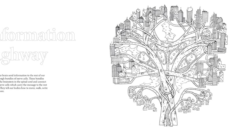 The information highway: from Journey through the Brain by Dr Lorna Lopez.