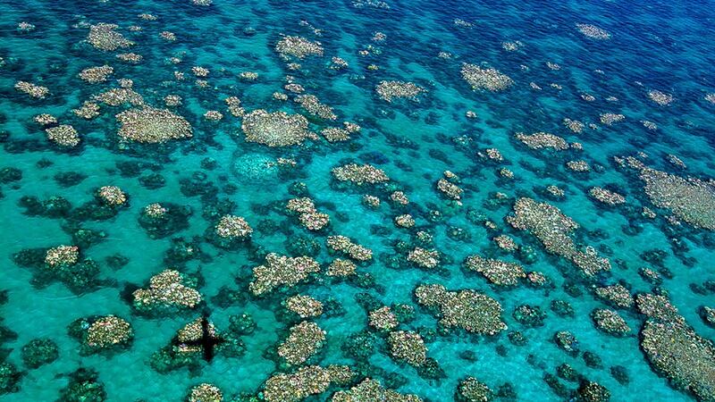An aerial view of bleaching on the Great Barrier Reef. Photograph: AFP/ARC Centre/Ed Roberts