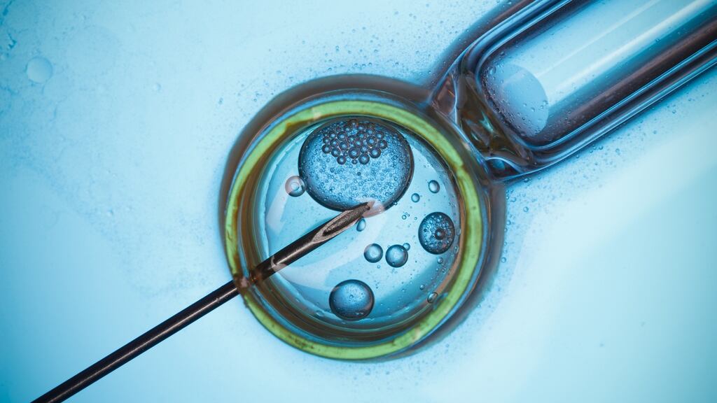Plans to provide a publicly-funded IVF service in State hospitals for the first time have been announced. Photograph: iStock