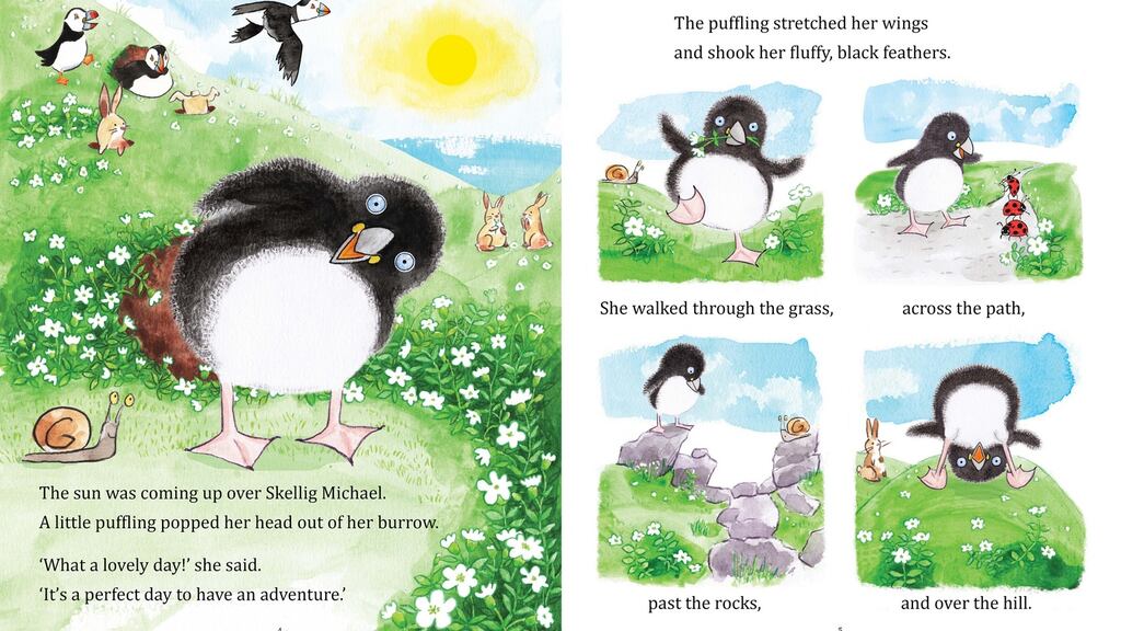 I tried to convey the experience of being on the Skelligs by using the full two-page spread throughout.