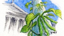 Another Life: Plants capable of adapting behaviour to survive