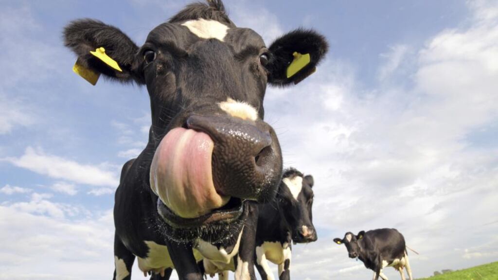 The Border region had the lowest average farm income at just €14,700, while the southeast had the most profitable farms.