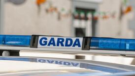 Female pedestrian in 60s dies after being struck by truck in Co Kildare