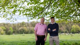 From farmer to artisan cheese maker: ‘Raw milk was an object of fear. But to me it’s the flavour of the land’